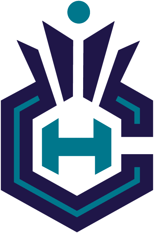 Charlotte Hornets 2014-Pres Alternate Logo iron on heat transfer v5